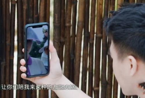 四太爆料何猷君视频播放,揭秘豪门背后的真相  第1张