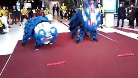 舞狮子表演视频爆料,揭秘传统表演背后的精彩瞬间